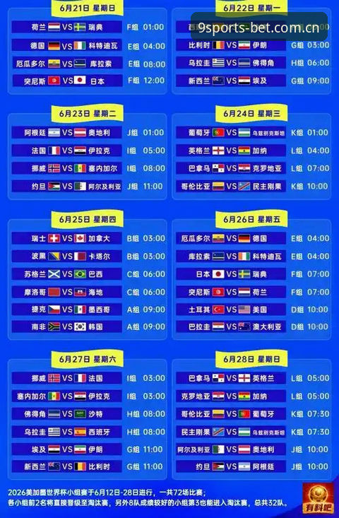 资深球迷分享世界杯观赛新体验：签证难题如何影响观赛成本
