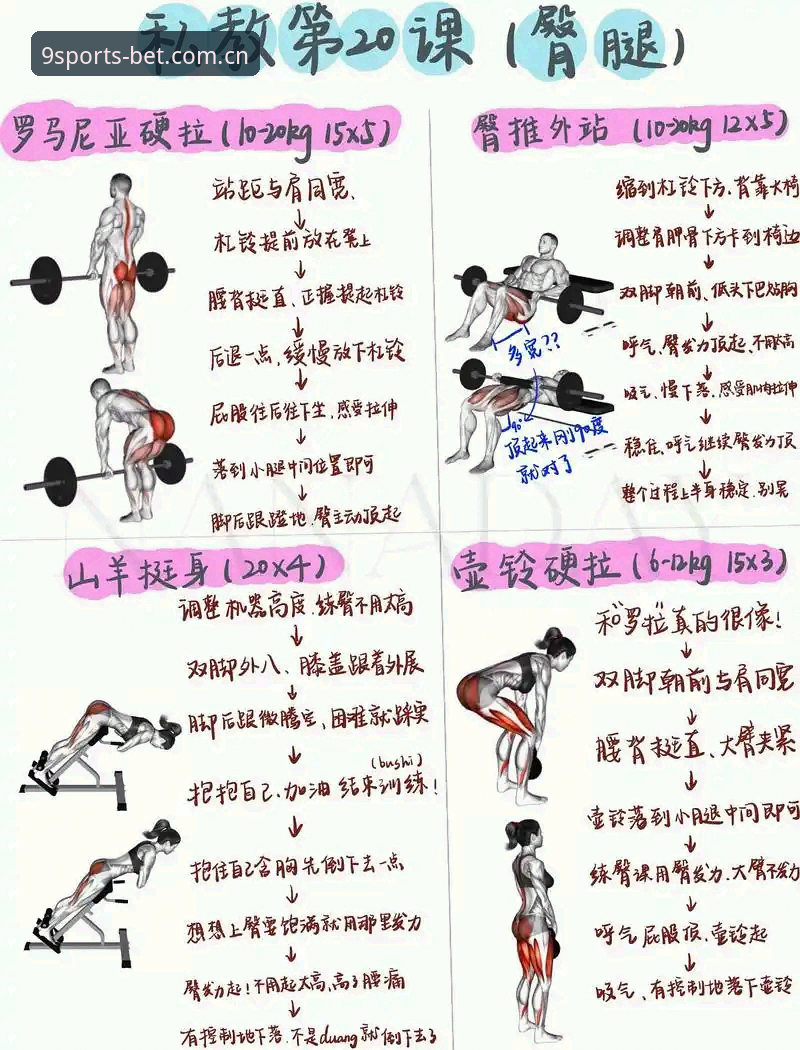九博体育平台实操指南：3个关键步骤完成正版下载与高效投注